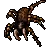 Tarantula